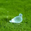 Paisaje de musgo en miniatura transfronterizo creativo pájaro paloma pequeño luminoso accesorios decorativos DIY mini adornos pequeños