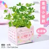 Plantas em Vasos de Expressão Criativa para Crianças Cultivarem Pequenas Plantas em Vasos Porco de Nariz Coriza Cartoon Enfeites de Mesa Mini Plantas Fofas em Vasos