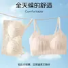 Artículo Popular de Douyin Ropa Interior de Chica con Viento de Colores Copas Completamente Fijas Lavable a Máquina Sujetador Cómodo para Estudiantes de Secundaria y Preparatoria