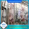 Linha automática de abate e processamento de gado em grande escala Fabricante de equipamentos para abate de gado gordo Linha de abate automático de gado personalizada