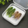Set de señuelos de pesca con mosca seca de hierba de ciervo saltamontes de venta caliente transfronteriza para pesca con mosca