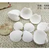 Oferta Especial Decoração de Casa Concha Natural Vieiras Decoração de Aquário Base de Areia do Mar Ornamento Concha Cauda de Pássaro Vieiras Brancas Mini