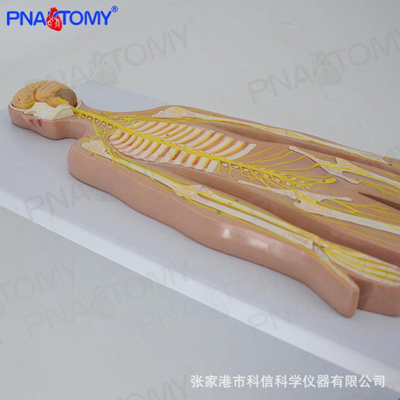详情-6.jpg