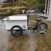 Carrito de Café Móvil, Carrito de Ventas Multifuncional, Decoración, Puesto de Monta Inversa, Triciclo Exterior de Té con Leche y Helado
