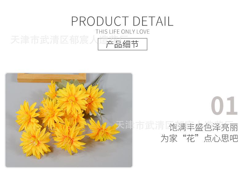 详情_09.png