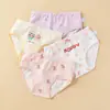 Ropa Interior Infantil Algodón Puro Clase A Ropa Interior para Bebés Niñas Cintura Media Pequeño, Mediano y Grande Pantalones Cortos Infantiles Verano Venta Directa de Fábrica Venta al por Mayor