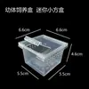 Caja para Mascotas Reptiles para Cangrejos Ermitaños, Geckos, Ranas Cornudas, Hámsteres, Grillos, Lagartijas, Tortugas; Caja para Terrario de Reptiles
