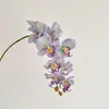 Cabo de cola de alta simulação 9 cabeças Phalaenopsis flor de simulação flor artificial decoração casa quarto armário de TV decoração