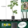 Habitat de folha de glicínia planta verde artificial alto padrão luxo leve interior sala de estar chão árvore falsa biônica planta em vaso
