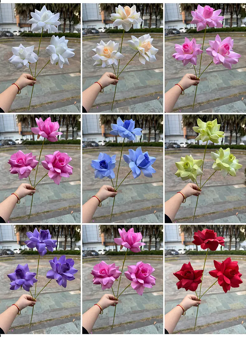 3头莱菲情人玫-详情_15.jpg