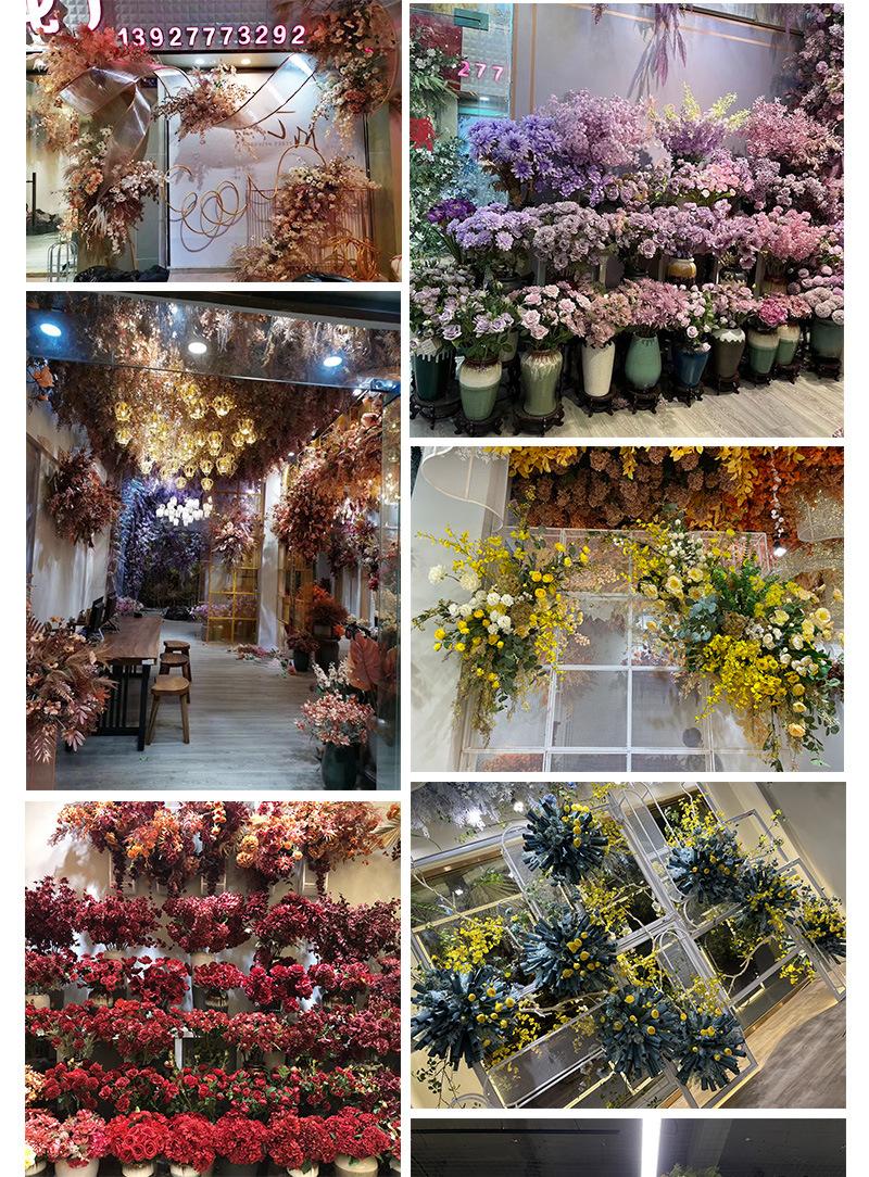聚美-肯尼亚大飞燕草-详情_16.jpg