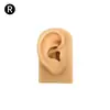 Modelo de Exhibición de Auriculares de Oreja de Silicona Joyería de Pendientes de Oreja Práctica de Limpieza de Orejas Prop de Enseñanza de Simulación del Cuerpo Humano