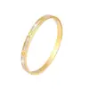 Pulsera de Acero Inoxidable con Circonita de Trébol de Cuatro Hojas, de Gran Venta Transfronteriza, Pulsera Sencilla y Versátil de Acero de Titanio Dorado de 18K para Mujer