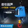 Mini polipasto eléctrico 220V control remoto inalámbrico doméstico portátil aire acondicionado grúa pequeña polipasto pequeño