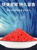 Cebo Hua cebo de almizcle artificial cebo de arroz docena de arroz atrayente cebo pequeña medicina poly pez nido de arroz 100g * 100 paquetes