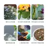 Comprimidos Desinfetantes Especiais para Plantas Verdes e Flores, Comprimidos Efervescentes de Dióxido de Cloro 100g, Conservação de Flores, Prolongando o Período de Floração, Dropshipping