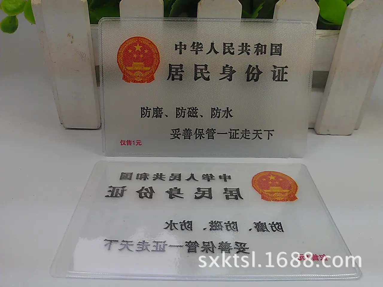 IMAG0045