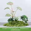 Simulación Planta Verde Paisajismo Planta Paisaje Combinación Adornos Exterior Maceta Alta Gama Lujo Ligero Flor Artificial Interior Piso Maceta