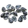 12x 17mm Cristal de Cabello Natural Hojas Accesorios para Pulsera Collar Pasador DIY