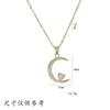 Colar Feminino Moda Transfronteiriça Flor Pingente de Zircônia Nicho Simples Novo Versátil Temperamento Aço Titânio Colar Joia