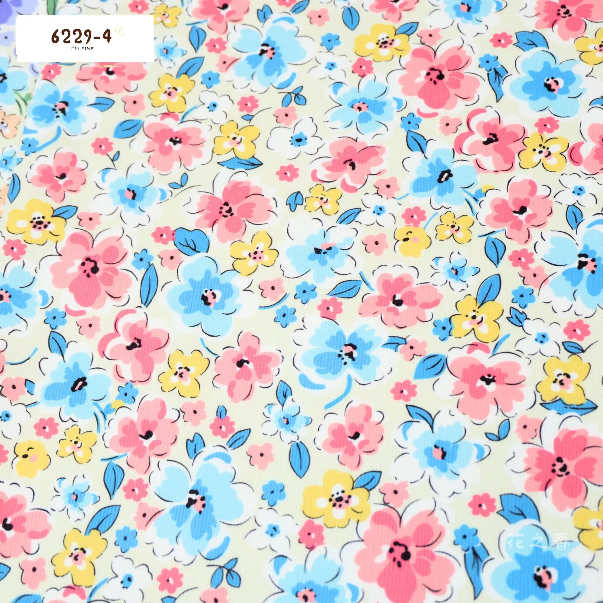 6229-4