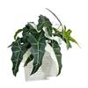 Nuevo producto 5 tenedores arum grande simulación planta verde hotel centro comercial hogar decoración de patio planta verde hoja planta venta al por mayor