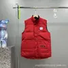 Fábrica Putian Venta al por mayor Chaleco Chaqueta de plumón de ganso Grande Clásico Otoño e Invierno Chaleco Corto Chaleco Chaqueta para Hombres y Mujeres Parejas