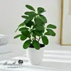 Vasos de Plantas Verdes Simulados, Flores e Plantas Verdes Simuladas, Enfeites de Decoração para Casa, Adereços de Fotografia de Bonsai Simulados, Flores Artificiais Falsas