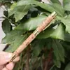 Pluma Estilográfica Bolígrafo Dos en Uno de Madera Taihang Tuya Lleno de Nudos y Cicatrices Pluma de Firma de Madera Bolígrafo de Doble Propósito Artesanía Decoración de Escritorio