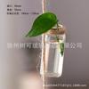 Ins jarrón de vidrio creativo transparente decoración de plantas hidropónicas colgante de pared rábano verde hecho a mano cuerda de cáñamo botella colgante al por mayor