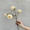 Flor Artificial Crisântemo de Madeira de Pinus com 5 Cabeças para Casamento Flor Falsa Realista de Alta Qualidade Arranjo de Cena com Flores Artificiais Decoração Ornamento