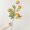 Flores Artificiales de Peonía Estilo Ins para Hotel y Casa de Huéspedes, Decoración Suave, Arreglos Florales, Decoración de Mesa de Sala de Estar y Accesorios