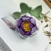 Peonía Terminada Tejida a Crochet Flores Tejidas de Lana Terminadas Decoración Creativa para el Hogar Flores Artificiales Comercio Exterior Transfronterizo Venta al por Mayor