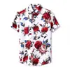 Ropa Masculina Transfronteriza Yidi Nueva Camisa de Playa de Manga Corta Estilo Hawaiano Camisa Casual Delgada de Manga Corta
