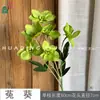 Rosa Artificial Fragrante de 6 Cabeças Flor Artificial Multi-Cabeça para Sala de Estar Interna Decoração de Arranjo de Flores Estilo Fresco Flor Artificial