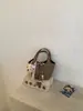 2026 Novo Estilo Cesta de Legumes Bolsa Balde de Grande Capacidade Bolsa de Ombro para o Dia a Dia Feminina Bolsa Transversal Versátil de Alta Moda