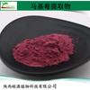 Extracto de Marchiberry, Polvo de fruto de frambuesa Chile Berry 30:1 por kilogramo pedido en stock