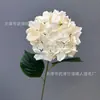 Nueva flor artificial de champán para el hogar, sala de estar, mesa de centro, exhibición de flores, boda, fondo de boda, decoración de pared, flor falsa