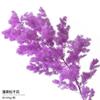 Materiales para Empaque de Ramo, Materiales para Florería, Accesorios Florales, Decoración para el Hogar, Flores Secas, Flores Artificiales, Pasto de Pluma Simulado, Flores Inmortales