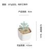 Adornos pequeños de esmalte de colores Zibo, trébol de cuatro hojas, cactus suculento en maceta, manualidades de vidrio para escritorio de oficina, regalo