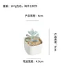 Artesanías de Vidrio Zibo Adornos para Plantas en Maceta Vidrio de Boshan Planta Verde Trébol de Cuatro Hojas Suculento Regalo Decoración de Escritorio