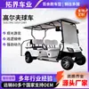 Carritos de Golf, Vehículos Eléctricos Turísticos, Atracciones Turísticas, Hoteles, Vehículos de Recepción Inmobiliaria, Escuelas, Aeropuertos, Transportes Turísticos
