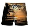Comercio exterior 2023 Pantalones de playa para hombre holgados casual Dragon Ball casual Estampado 3D dibujos animados anime natación shorts