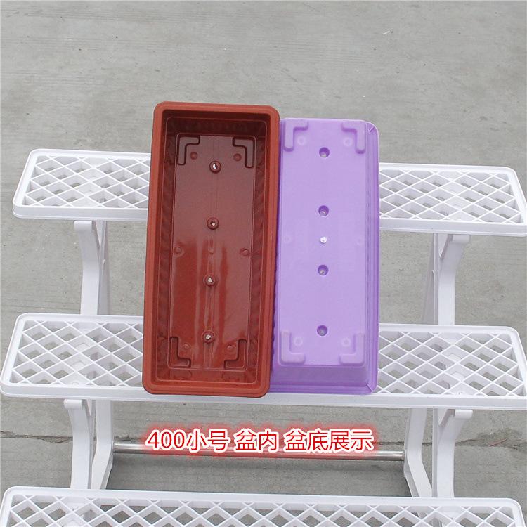 3546675537_2036285011