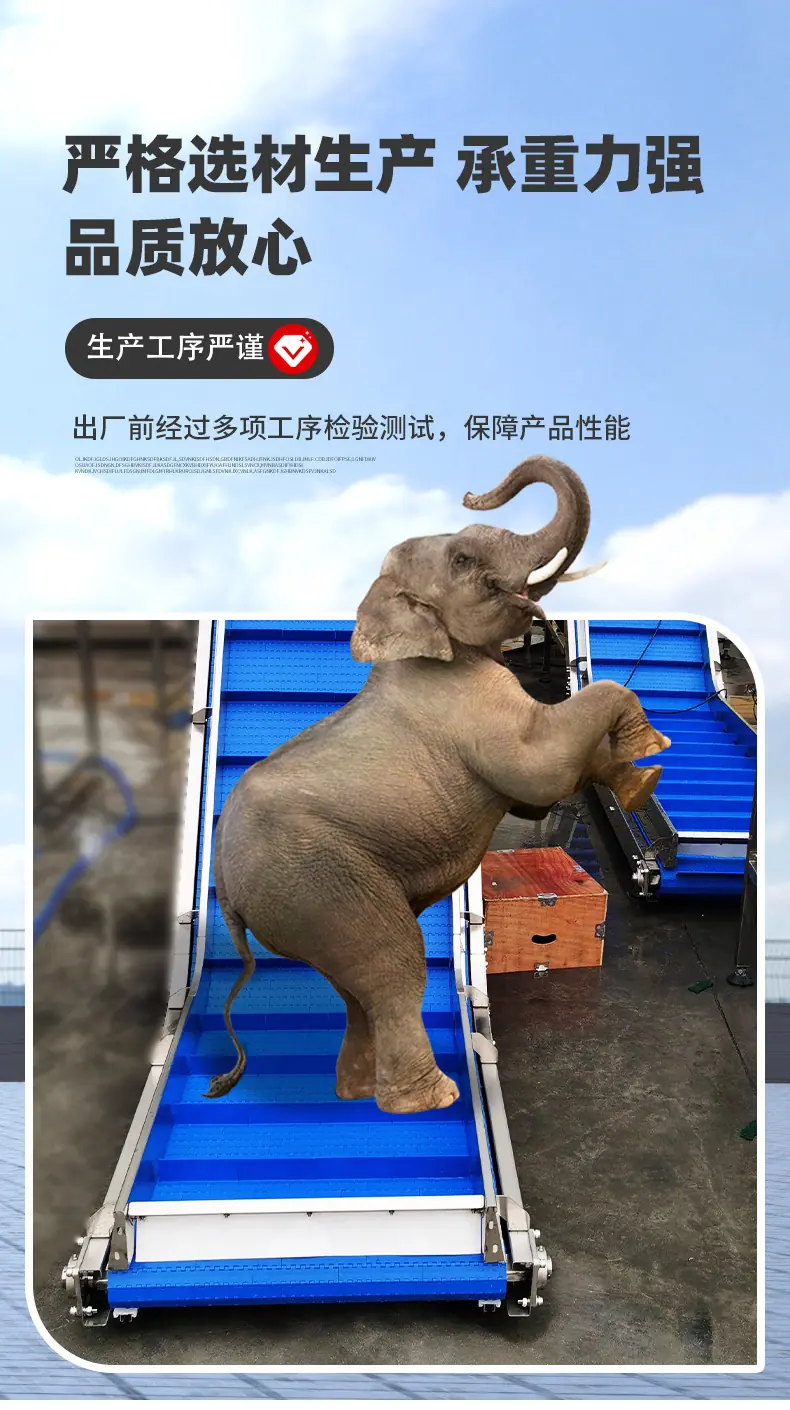 塑料网带提升机_07.jpg