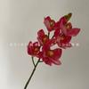 Flor Artificial 6 Cymbidium Decoração Cerimonial de Casamento Alta Fotografia Adereços Casa Sala de estar Arranjo de Flores Artificial Flor Falsa