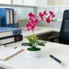 Maceta Nueva con Forma de Nube con 7 Orquídeas Mariposa Artificiales, Tacto Realista, Flores Artificiales, Decoración de Escritorio, Adorno de Bonsái de Planta Verde