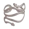 Pulseira de Braço Aberta Europeia e Americana Metálica Transfronteiriça em Forma de Cobra de Duas Cabeças, Única e Exagerada, Joia de Nicho de Alto Padrão