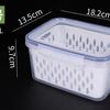 Cesta de drenaje de plástico japonesa de doble capa de grado alimenticio, caja para mantener la frescura, caja sellada para congelar alimentos de cocina, caja de almacenamiento para refrigerador