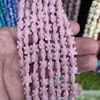 Serie Océano Polvo de Concha Prensado Estrella de Mar Forma de Abanico Forma de Tortuga Cuentas DIY Ropa Collar Joyería Accesorios Venta al por Mayor